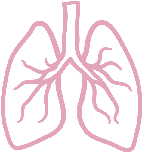 Lung  <br/> Cancer